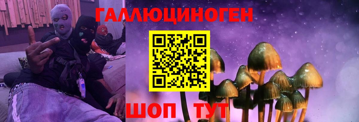 Галлюциногенные грибы Magic Shrooms Сокол